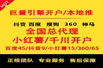百度竞价推广运营策略：成功案例解析